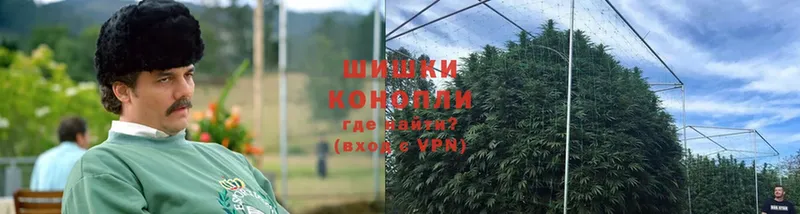 где продают   Карачаевск  Бошки Шишки THC 21% 